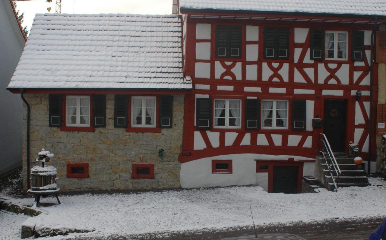 Traumschiff Apartment Erzingen